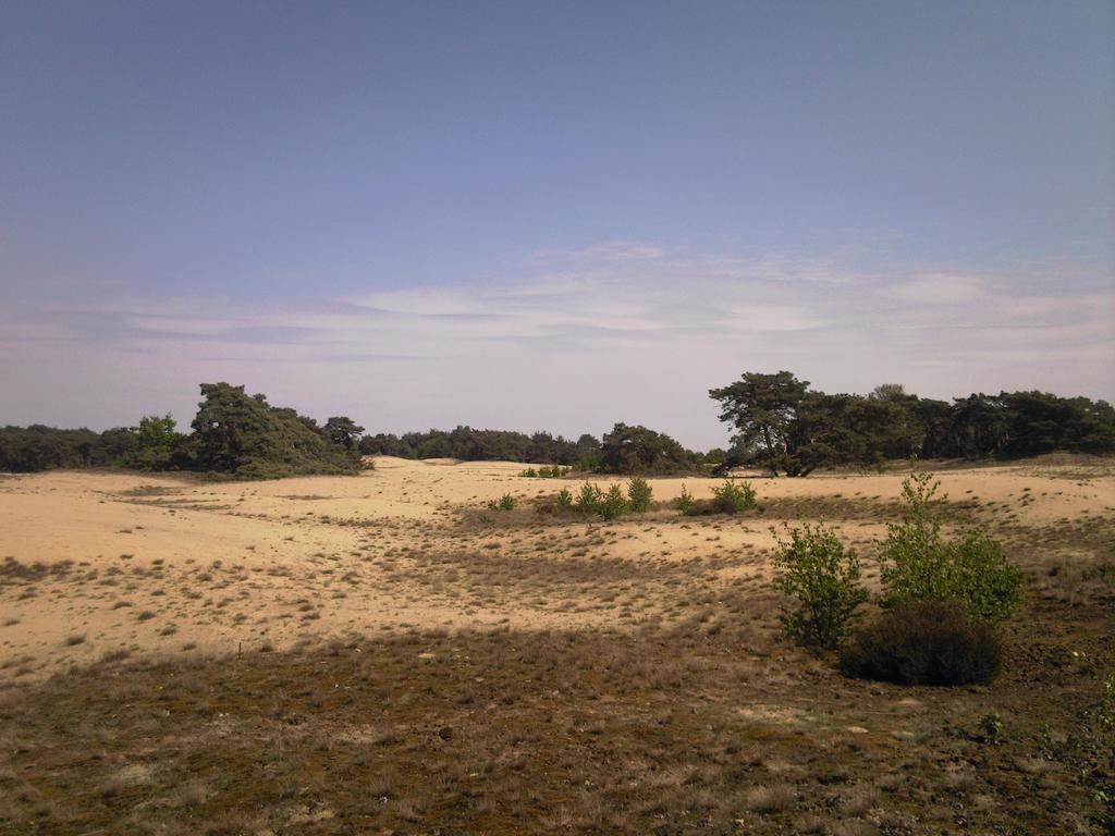 Logies Angelbeeck Villa Afferden  Oda fotoğraf