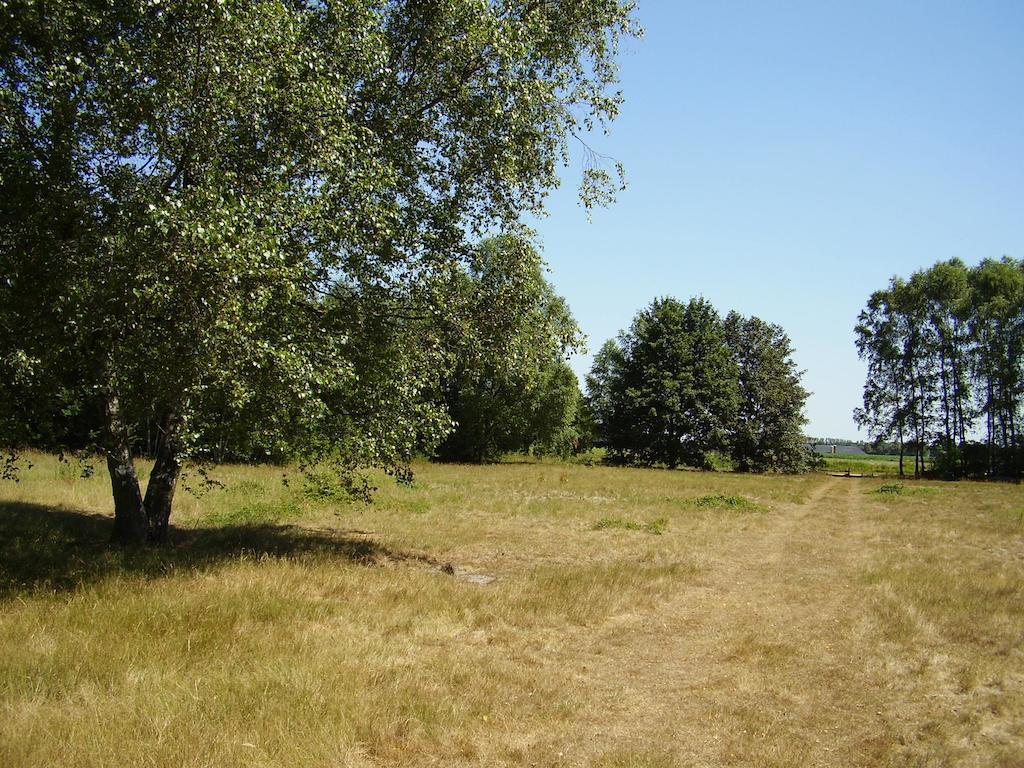 Logies Angelbeeck Villa Afferden  Oda fotoğraf